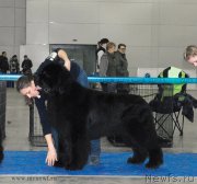 Превью фото № 155733