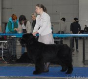 Превью фото № 155734