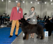 Превью фото № 155751