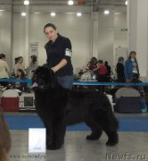 Превью фото № 155754