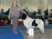 Превью фото № 155755