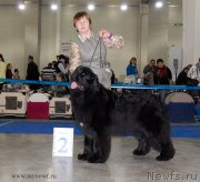 Превью фото № 155758