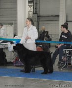 Превью фото № 155760