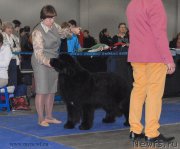 Превью фото № 155761