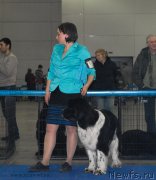 Превью фото № 155768