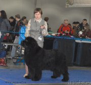 Превью фото № 155780