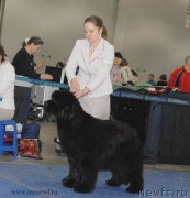 Превью фото № 155783