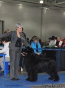 Превью фото № 155786