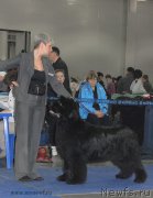 Превью фото № 155787