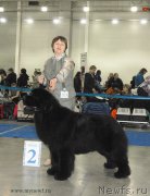 Превью фото № 155793