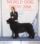 Превью фото № 155797