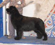 Превью фото № 155801