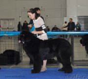 Превью фото № 155815