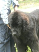 Превью фото № 155818