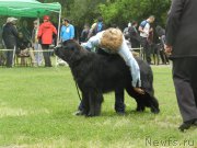 Превью фото № 155821