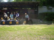 Превью фото № 155830