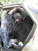 Превью фото № 155834