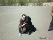 Превью фото № 155857