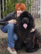 Превью фото № 155878