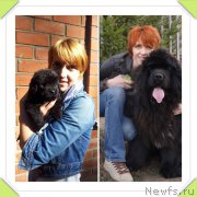 Превью фото № 155883