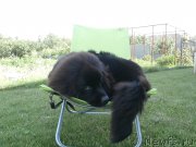 Превью фото № 156041