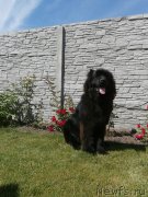 Превью фото № 156044