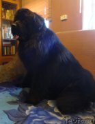 Превью фото № 156069