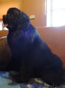 Превью фото № 156071