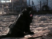 Превью фото № 156074