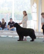 Превью фото № 156103