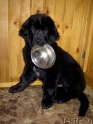 Превью фото № 156126