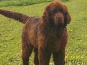 Превью фото № 156139