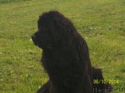 Превью фото № 156140