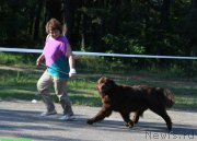 Превью фото № 156198