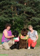 Превью фото № 156207