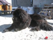 Превью фото № 156237