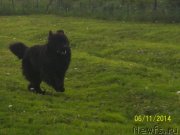 Превью фото № 156244