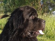 Превью фото № 156321