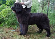 Превью фото № 156349