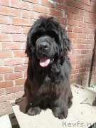 Превью фото № 156373