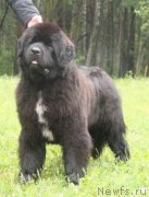 Превью фото № 156379