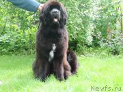 Превью фото № 156422