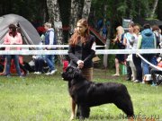 Превью фото № 156450