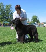 Превью фото № 156490