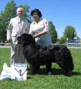 Превью фото № 156497