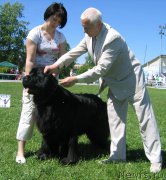 Превью фото № 156498