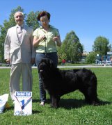 Превью фото № 156517