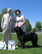 Превью фото № 156519