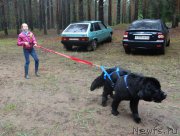 Превью фото № 156527