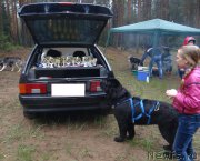 Превью фото № 156530